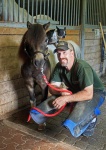 International Association of Professional Farriers