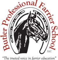 Horseshoe Clips  Butler Professional Farrier Schools